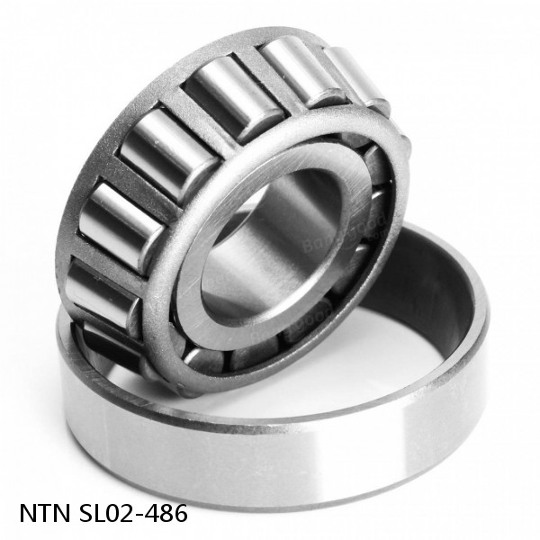 SL02-486 NTN Cylindrical Roller Bearing