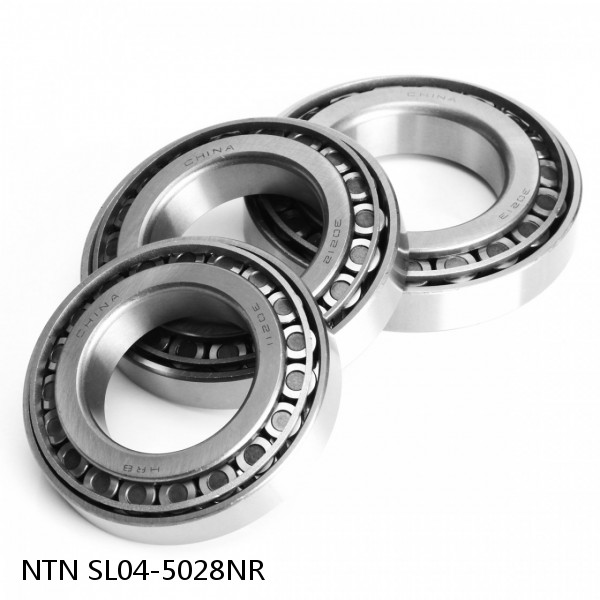 SL04-5028NR NTN Cylindrical Roller Bearing