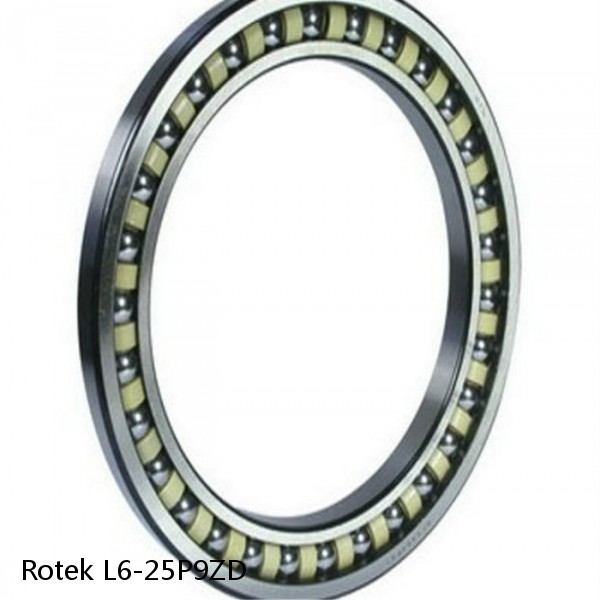 L6-25P9ZD Rotek Slewing Ring Bearings