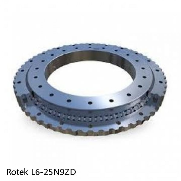 L6-25N9ZD Rotek Slewing Ring Bearings