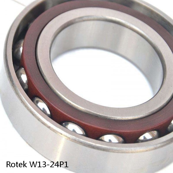 W13-24P1 Rotek Slewing Ring Bearings