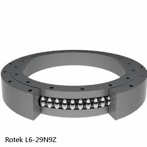 L6-29N9Z Rotek Slewing Ring Bearings