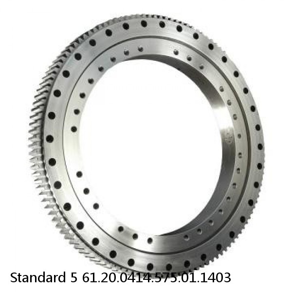 61.20.0414.575.01.1403 Standard 5 Slewing Ring Bearings