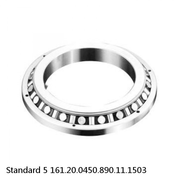 161.20.0450.890.11.1503 Standard 5 Slewing Ring Bearings