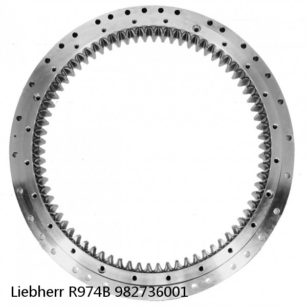 982736001 Liebherr R974B Slewing Ring