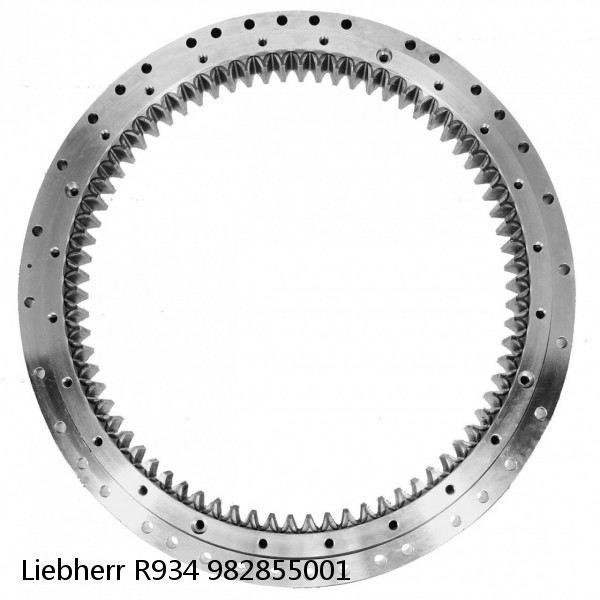 982855001 Liebherr R934 Slewing Ring