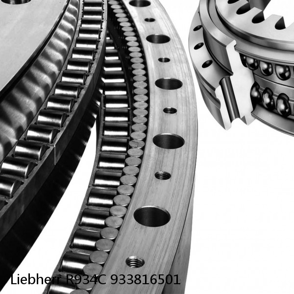 933816501 Liebherr R934C Slewing Ring